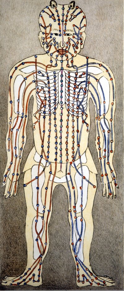 Medizin. Diagramm des menschlichen Körpers aus einem Akupunkturtraktat. Privatbibliothek, Mailand von Unknown artist