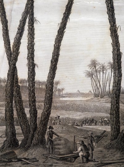 Memphis, Ansicht der Ruinen - in „Beschreibung von Ägypten“, Kaiserliche Ausgaben von Unknown artist