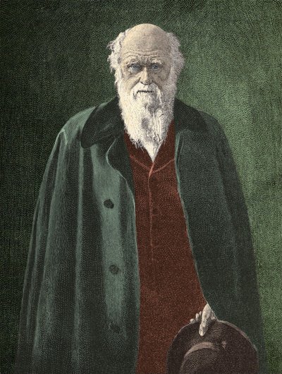 Porträt von Charles Darwin (1809 - 1882) von Unknown artist