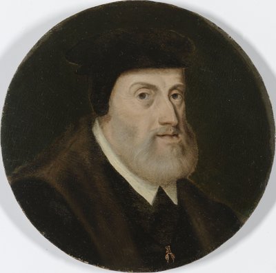 Porträt von Karl V., ca. 1550 von Unknown artist