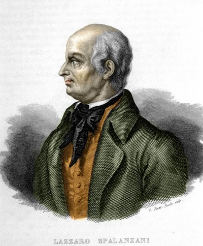 Porträt von Lazzaro Spallanzani, italienischer Biologe (1729-1799) von Unknown artist
