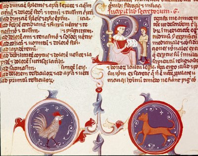 Darstellung eines Hahns und einer Katze, oben zwei Figuren, wahrscheinlich der Übersetzer, der seine Arbeit dem Arzt präsentiert (Miniatur) von Unknown artist