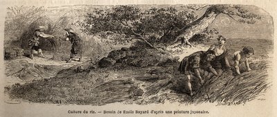 Reisanbau: Ernte im Oktober, die Stängel werden in Bündeln zusammengeführt. Gravur zur Illustration der Reise nach Japan in den Jahren 1863-1864, von Aime Humbert, Minister der Schweizerischen Eidgenossenschaft, in „Le tour du monde, nouveau journal des vo von Unknown artist