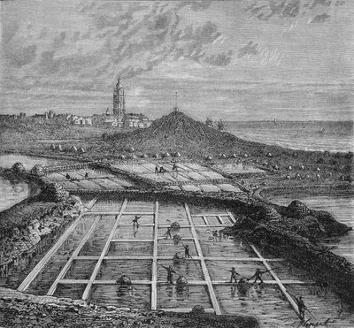 Salzarbeiter in einem Salzsumpf in Bourg de Batz, nahe Croizic (Bretagne) während der Saunage-Periode. In „Wunder der Industrie“ von Louis Figuier. von Unknown artist