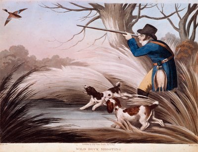 Szene der Entenjagd in England von Unknown artist