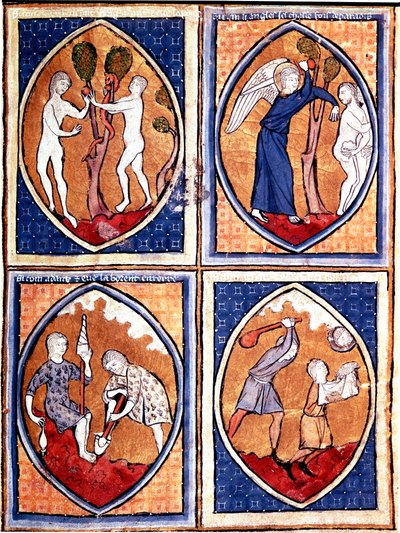 Szenen aus der Bibel in Mandorlen dargestellt. Oben Adam und Eva pflücken die verbotene Frucht, dann die Vertreibung aus dem Paradies. Unten Adam bearbeitet die Erde und Eva spinnt Wolle, Kain und Abel. Miniatur aus einem Manuskript des 13. Jahrhunderts. P von Unknown artist