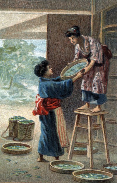 Seidenraupenzucht in einem japanischen Magneten. Chromolithographie des späten 19. Jahrhunderts. von Unknown artist