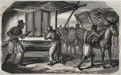 Zuckerherstellung: eine Zuckerrohrmühle in einer Zuckerfabrik in Westindien. Gravur von 1859 von Unknown artist