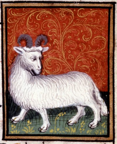 Der Widder. Miniatur eines Horoskops. Manuskript aus dem 15. Jahrhundert. Bibl. Trivulziana, Mailand von Unknown artist