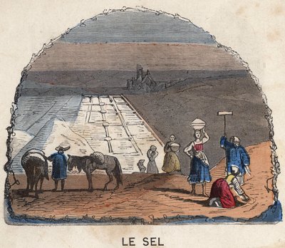 Die Salzsammlung. Illustration des 19. Jahrhunderts. Bianchetti Sammlung von Unknown artist