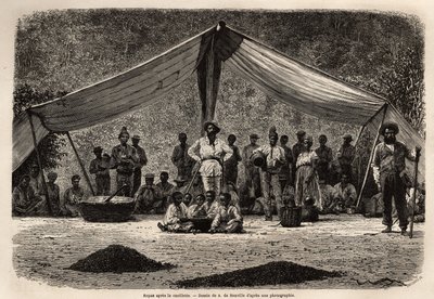 Das gemeinsame Mahl der Arbeiter nach der Sammlung der Kaffeebohnen, die im Vordergrund auf dem Boden trocknen; in der Mitte des Bildes, der Besitzer der Plantage, geschlossen und mit weißer Kopfbedeckung. Illustration der Reise nach Brasilien, Geschichte  von Unknown artist