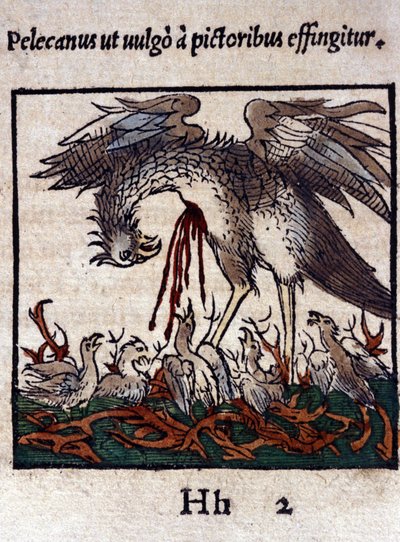 Die Legende des Pelikans: Er gibt sein Blut und seine Eingeweide, um seine Jungen zu füttern. Aus Historiae animalium von Konrad Gesner, Tiguri von Unknown artist