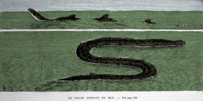 Die Seeschlange, beobachtet 1872 im südlichen Atlantik. von Unknown artist