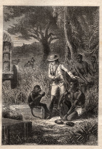 Reise in die Kaffern (Südafrika) (1781) von Francois Levaillant (Le Vaillant) (1753-1824): Levaillant und sein Affe Maitre Kees, der die Früchte und Wurzeln probiert, um zu überprüfen, ob sie essbar sind - Illustration aus „Die großen Seefahrer des 18. Jah von Unknown artist