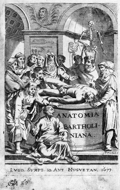 Eine Anatomielektion. Frontispiz aus „Anatomia Reformata“ von Thomas Bartholin (1616-80) (Bartholinus) 1677 von Unknown artist