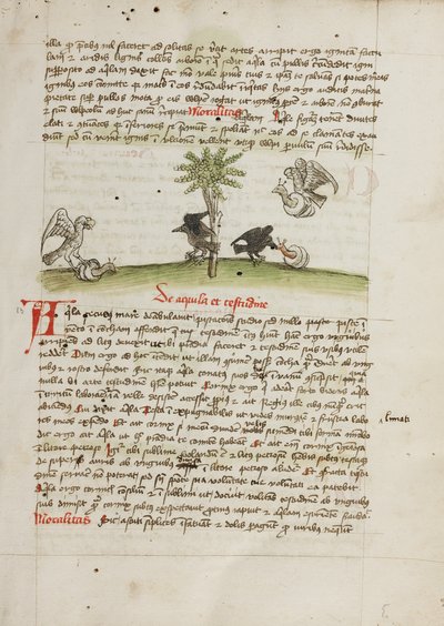 Ein Adler ergreift eine Schnecke; Eine Krähe pickt an einer Schnecke von Unknown artist