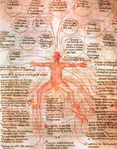 Anatomische Tafel zur Darstellung des Blutkreislaufs Miniatur aus dem Manuskript „De surgia“ 13. Jahrhundert Venedig, Biblioteca Marciana von Unknown artist