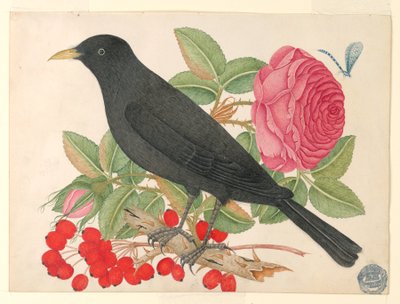 Schwarzer Vogel mit Rosen von Unknown artist