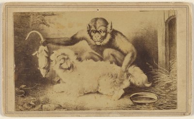 Kopie eines Gemäldes, das einen Affen zeigt, der eine Ratte am Schwanz vor einem kleinen weißen Hund hält von Unknown artist