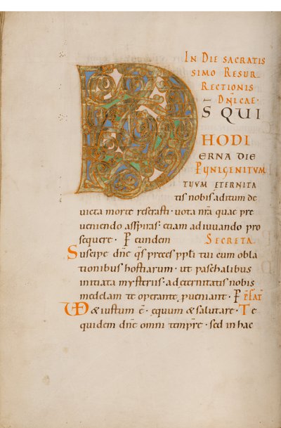 Dekorierte Initiale D von Unknown artist