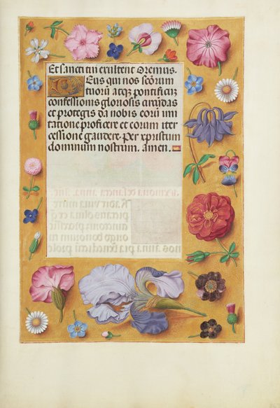 Geschmückte Textseite von Unknown artist