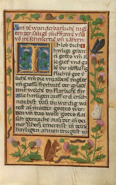Dekorierte Textseite von Unknown artist