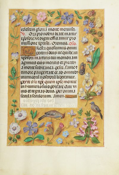 Geschmückte Textseite von Unknown artist