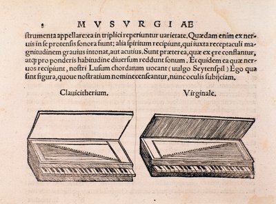 Beschreibung von Cembalo und Spinett. Seite aus Musurgia seu praxis musicae von Unknown artist