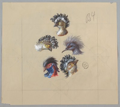 Entwurf für Tapeten und Textilien: Vögel von Unknown artist