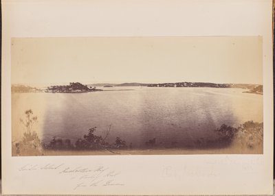 Garden Island, Rushcutters Bay und Darling Point vom Domain von Unknown artist