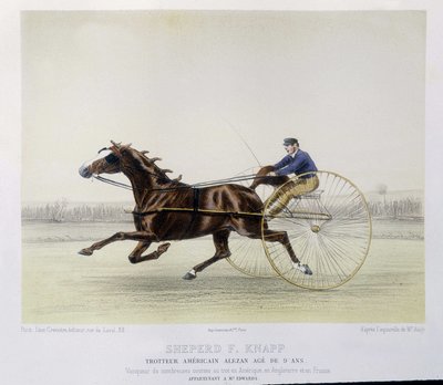 Reiten: Schäfer F. Knapp, Traber - in „the centaur“ von Unknown artist