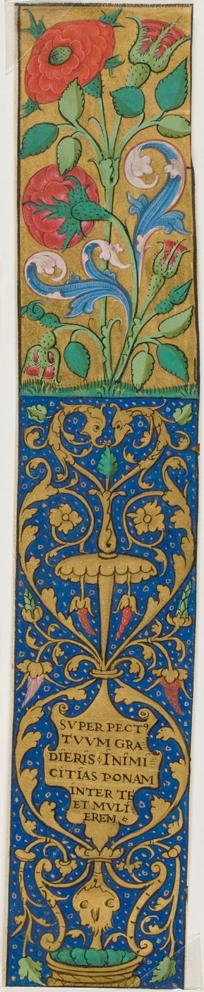 Illuminierter Rand mit Flora und Grotesken aus einem Manuskript von Unknown artist