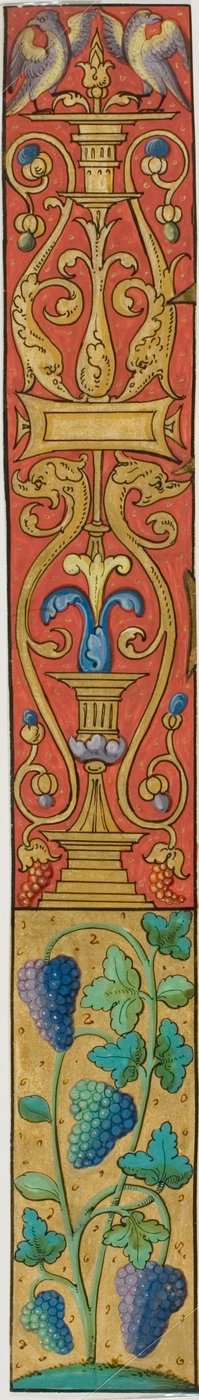 Illuminierte Bordüre mit Trauben, Vögeln und Grotesken aus einem Manuskript von Unknown artist