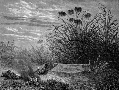 In Masoumbo: Livingstones Moskitonetz - „Livingstones letzte Reise 1866-1873“ in „Tour du Monde“, 2. Halbjahr 1875 von Unknown artist