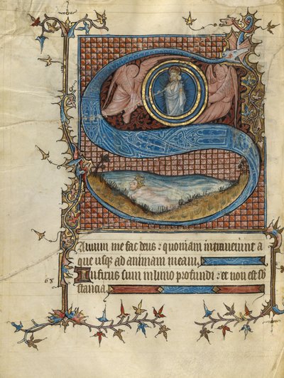 Initiale S: David im Wasser von Unknown artist