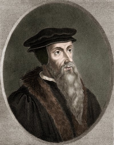 Johannes Calvin - Jean Calvin 1509-1564 - Stich - 19. Jahrhundert von Unknown artist