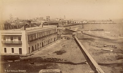 La Muralla, Veracruz von Unknown artist