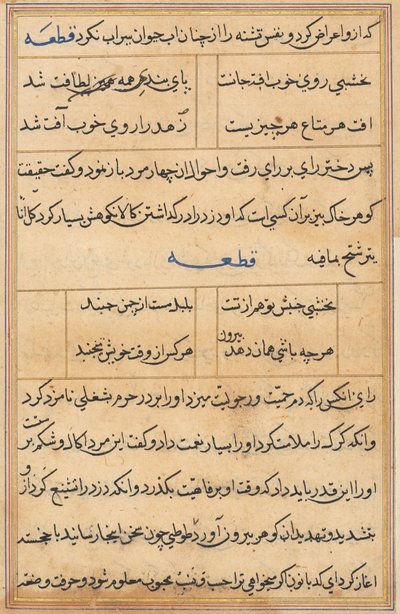 Seite aus Geschichten eines Papageis (Tuti-nama): Textseite von Unknown artist