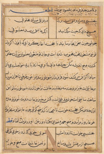 Seite aus Geschichten eines Papageis (Tuti-nama): Textseite von Unknown artist