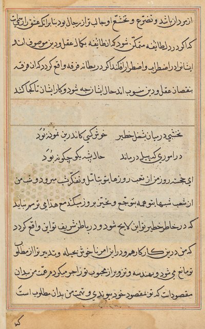 Seite aus Geschichten eines Papageis (Tuti-nama): Textseite von Unknown artist