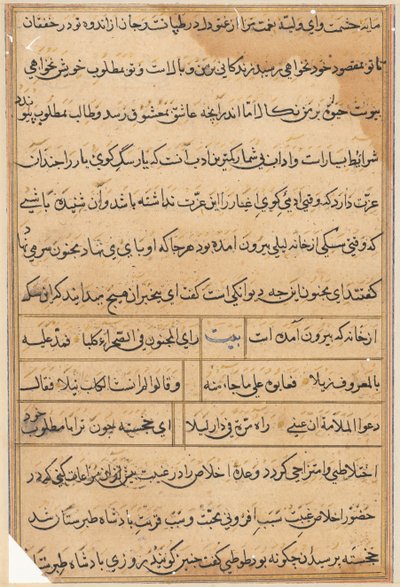 Seite aus Geschichten eines Papageis (Tuti-nama): Textseite von Unknown artist