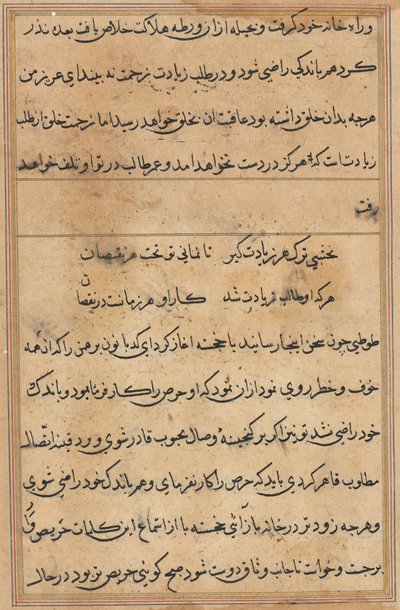 Seite aus Geschichten eines Papageis (Tuti-nama): Textseite von Unknown artist