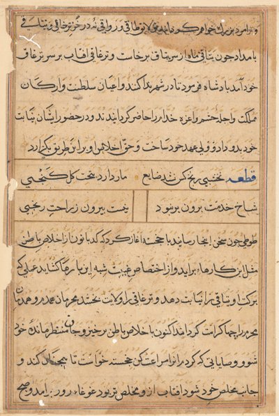Seite aus Geschichten eines Papageis (Tuti-nama): Textseite von Unknown artist