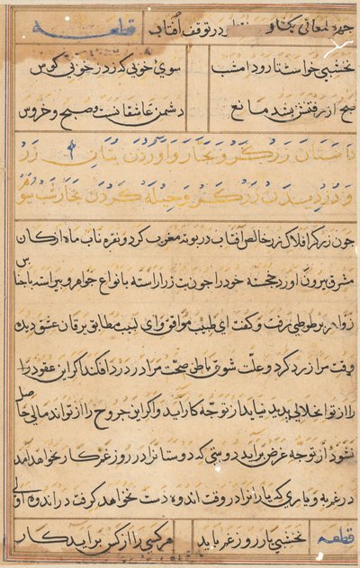 Seite aus Geschichten eines Papageis (Tuti-nama): Textseite von Unknown artist