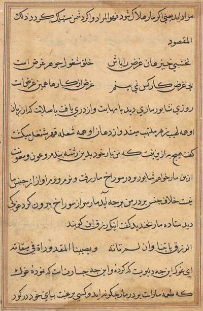 Seite aus Geschichten eines Papageis (Tuti-nama): Textseite von Unknown artist