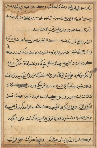Seite aus Geschichten eines Papageis (Tuti-nama): Textseite von Unknown artist