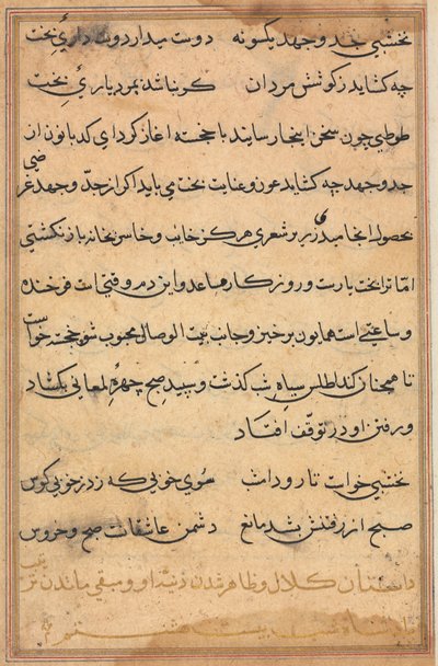 Seite aus Geschichten eines Papageis (Tuti-nama): Textseite von Unknown artist