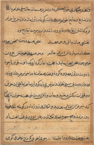 Seite aus Geschichten eines Papageis (Tuti-nama): Textseite von Unknown artist