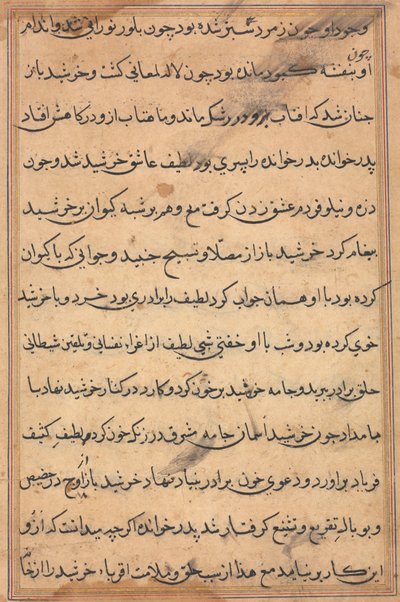 Seite aus Geschichten eines Papageis (Tuti-nama): Textseite von Unknown artist