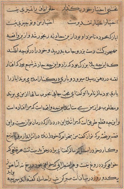 Seite aus Geschichten eines Papageis (Tuti-nama): Textseite von Unknown artist